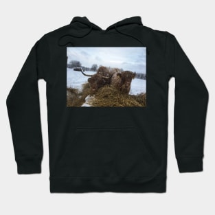 Scottish Highland Cattle Cow and Calf 1880 Hoodie